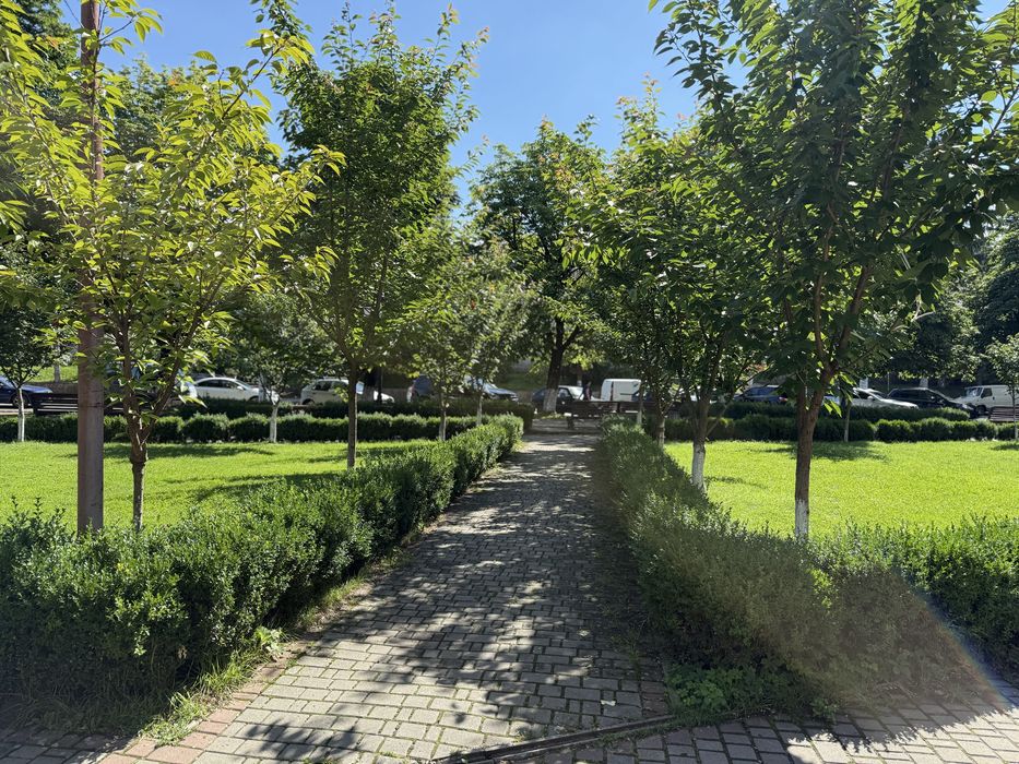 Продається приміщення у центрі Міжгврʼя комерція