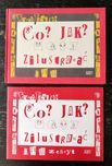 Zestaw F. Radlin "Co? Jak? zilustrować"