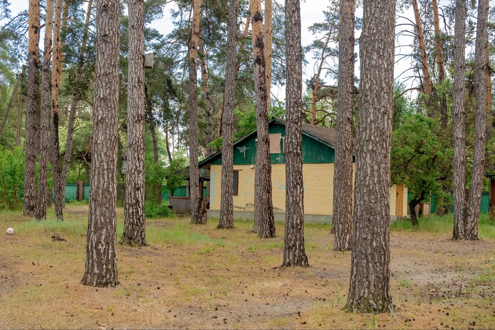 Продам діючу базу відпочинку