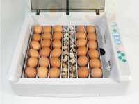 ZESTAW Inkubator AUTOMATYCZNY do 36 jaj pod Każdy rodzaj JAJA HIT!