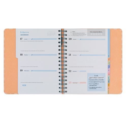 Agenda mr wonderful