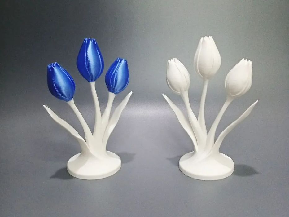 Tulipas Modernas Minimalistas