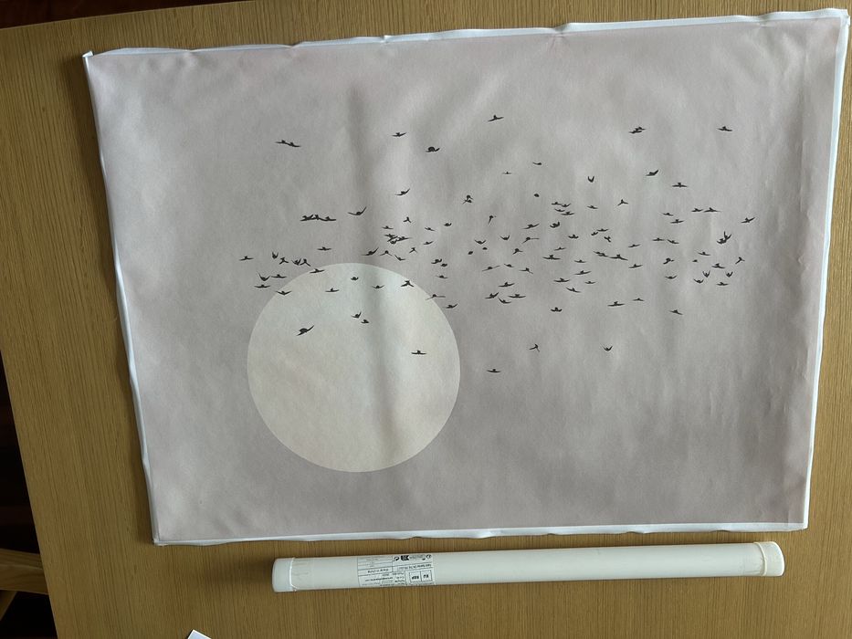 Posteres/ quadros  100x70