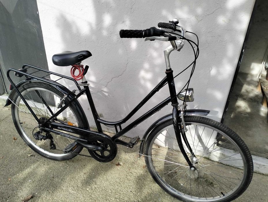 Bicicleta tipo Holandesa