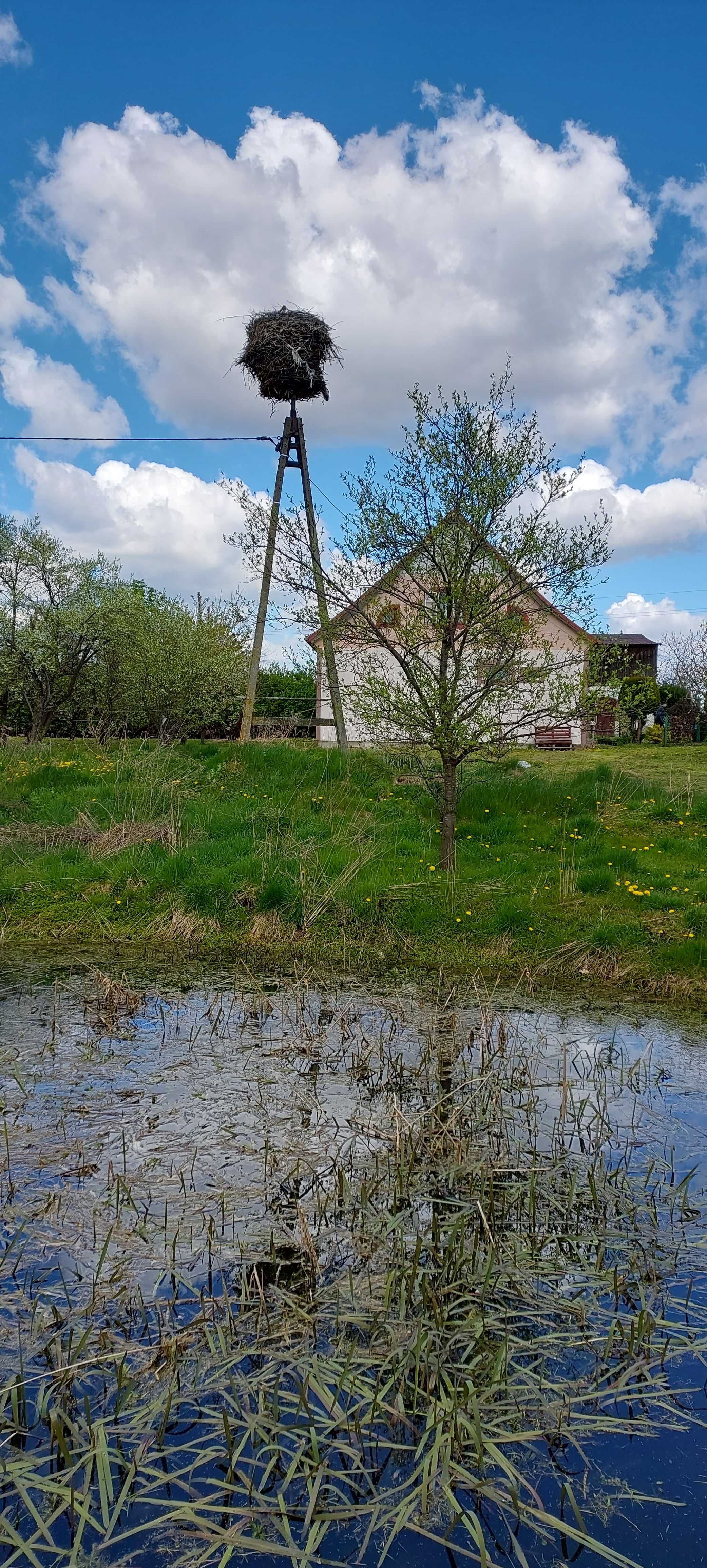 Siedlisko nad jeziorem Ruda woda