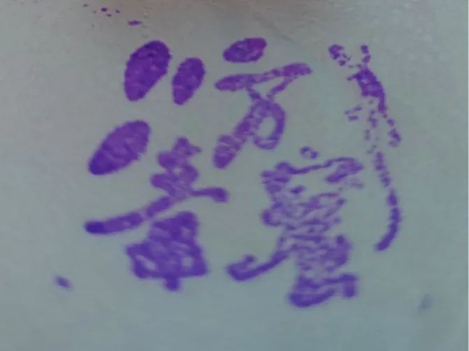 Carimbo 'Wanduku Seal' The Legend of Qin