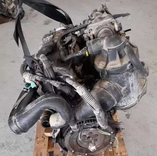 Assador de castanhas eletrônico em 5 a 6 minutos protas para comer,