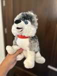 Maskotka piesek husky