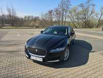 Jaguar XF Jaguar XF, Polska, salon Polska,Okazja!!!