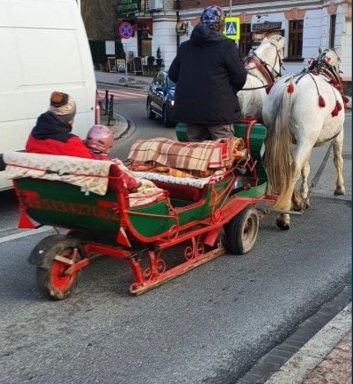 Sanie konne.para Pojedynka.