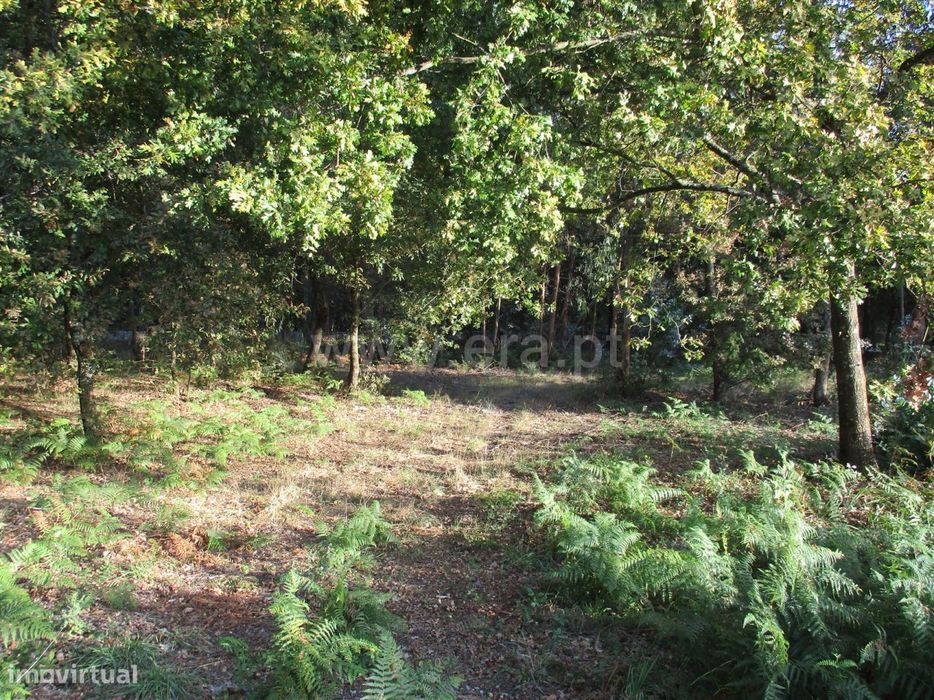 Terreno Para Construção