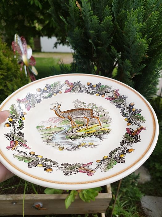 Винтажный набор тарелок Barbecue Myott sin & co