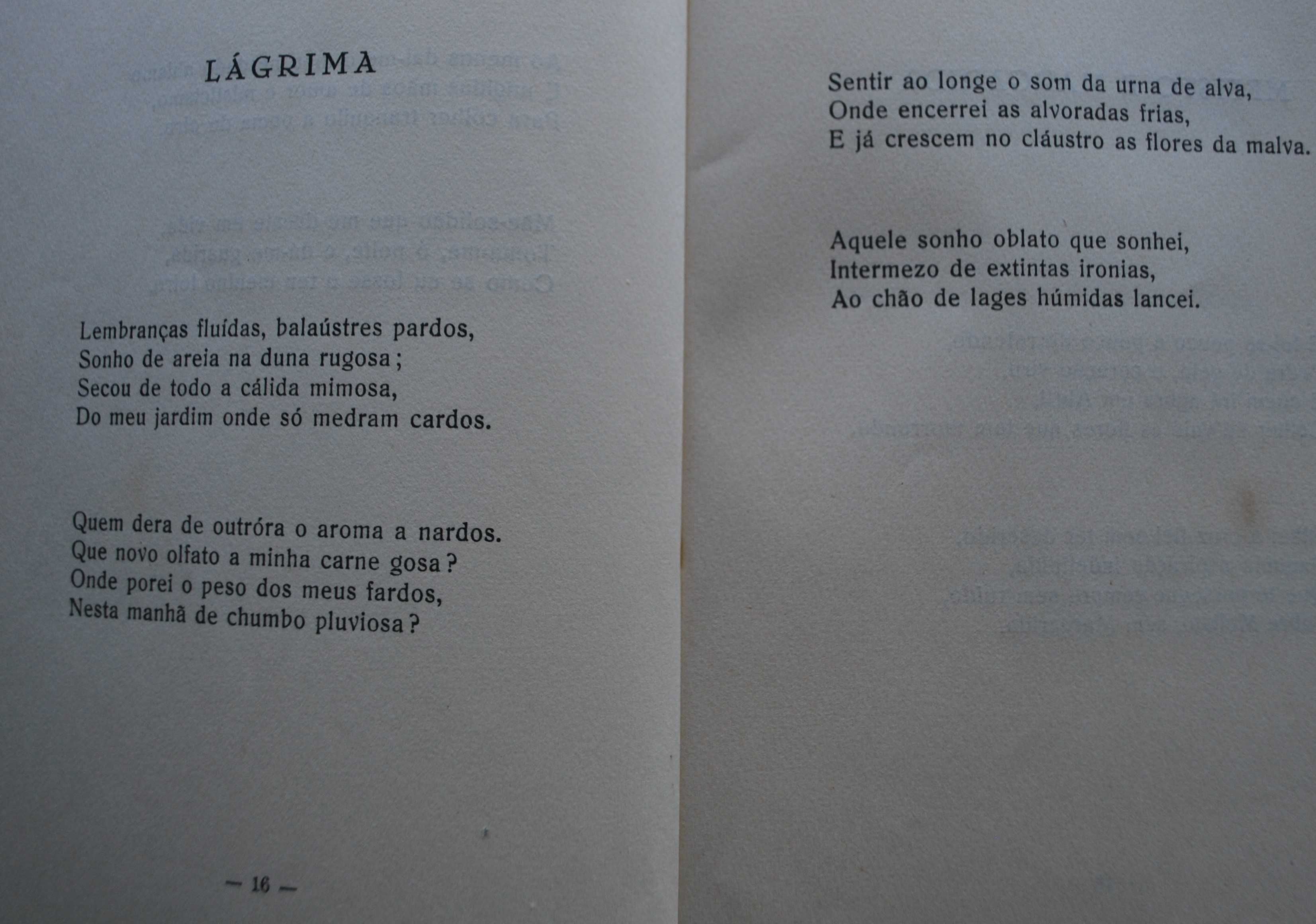 S. Bruno e O Mundo de José Galeno - 1º Edição Ano 1954