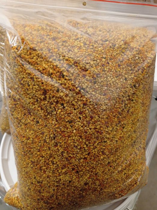 Pyłek Pszczeli 5kg