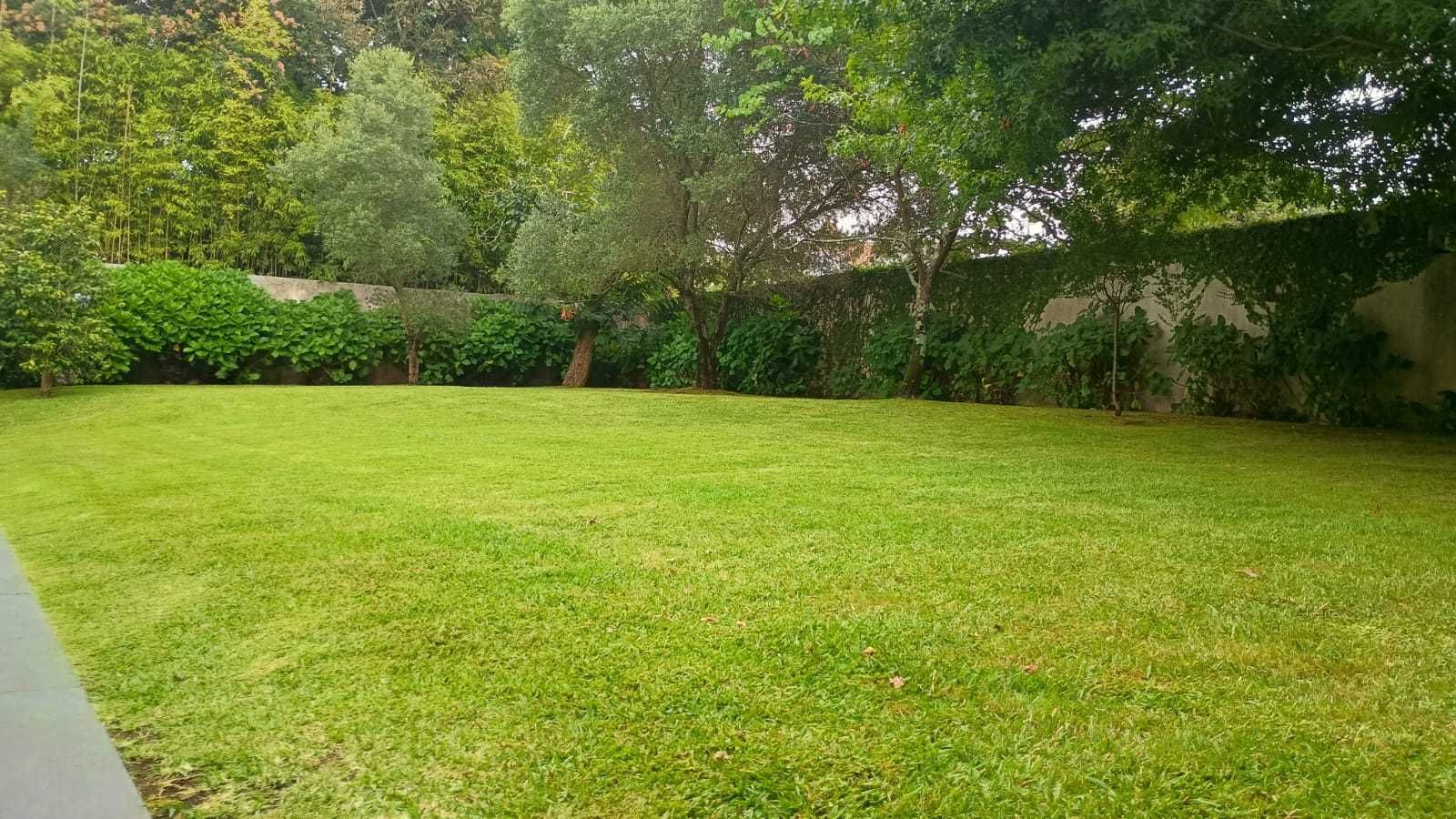 Jardineiro Em todo Porto - Manutenção, Limpeza e Montagem de Jardins