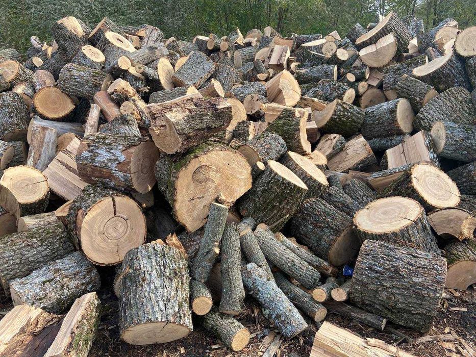 Дрова дубовые. дуб в чурках. Дрова с документами. Дуб колотый.