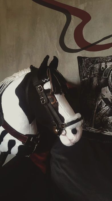 Hobby horse finland Nw