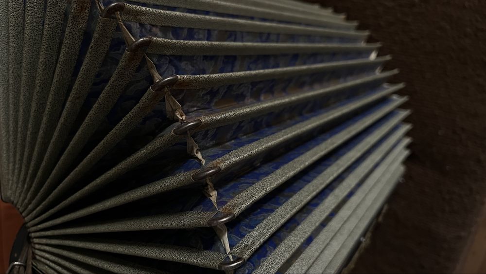 Аккордеон Rauner