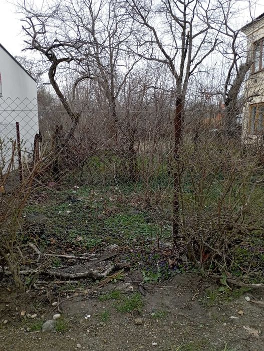 Комерційного призначення (будівель торгівлі), вулиця Міцкевича