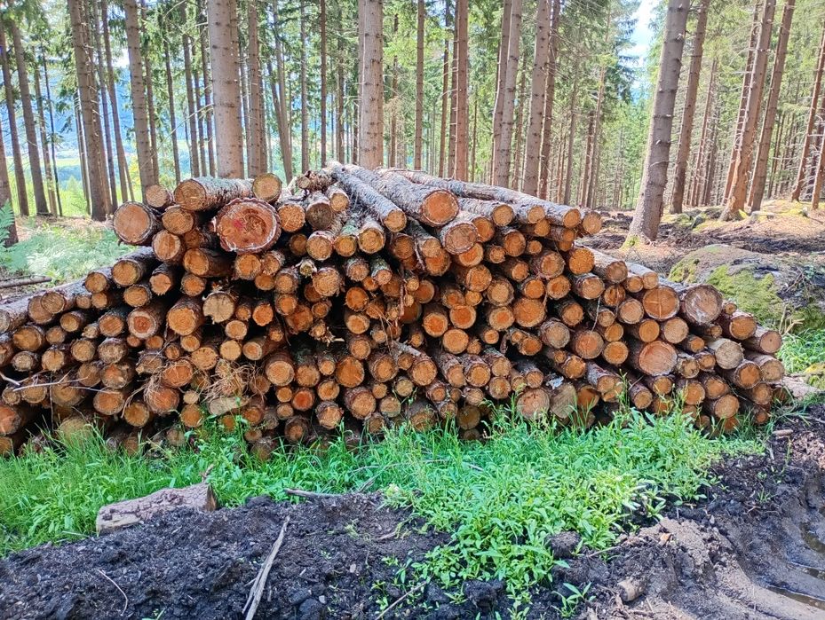 Stemple budowlane 3 metrowe słupki żerdzie transport GRATIS