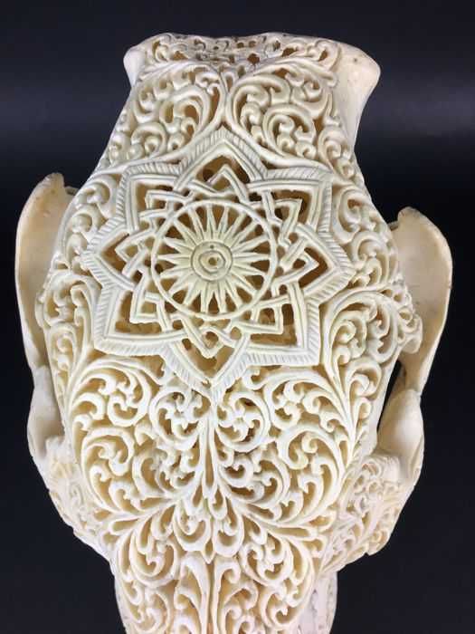 Craneo de javali  indonesio gravado à mão.