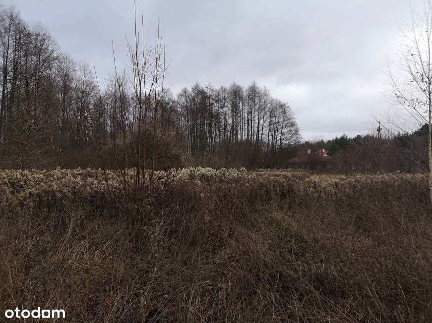 Syndyk sprzeda udział w nieruchomości niezabudowanej w Małej Nieszawce