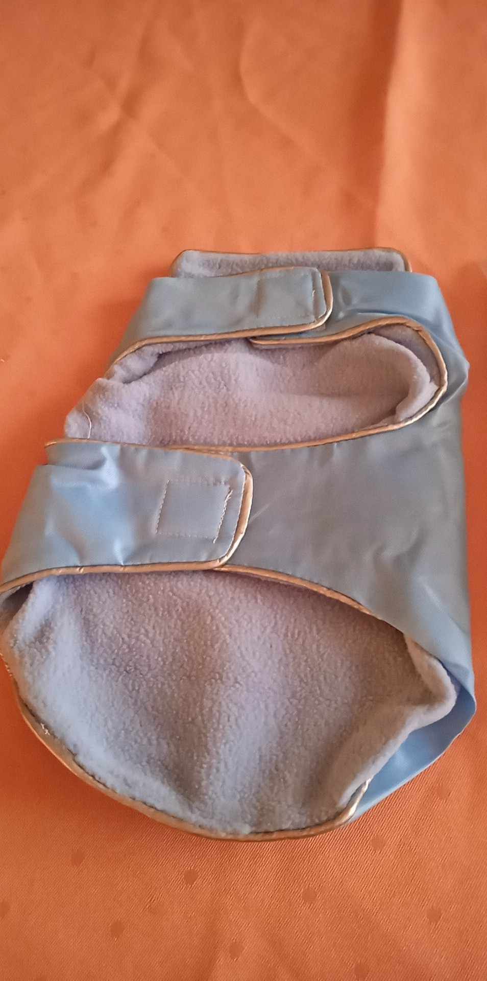 Ubrano dla małego pieska