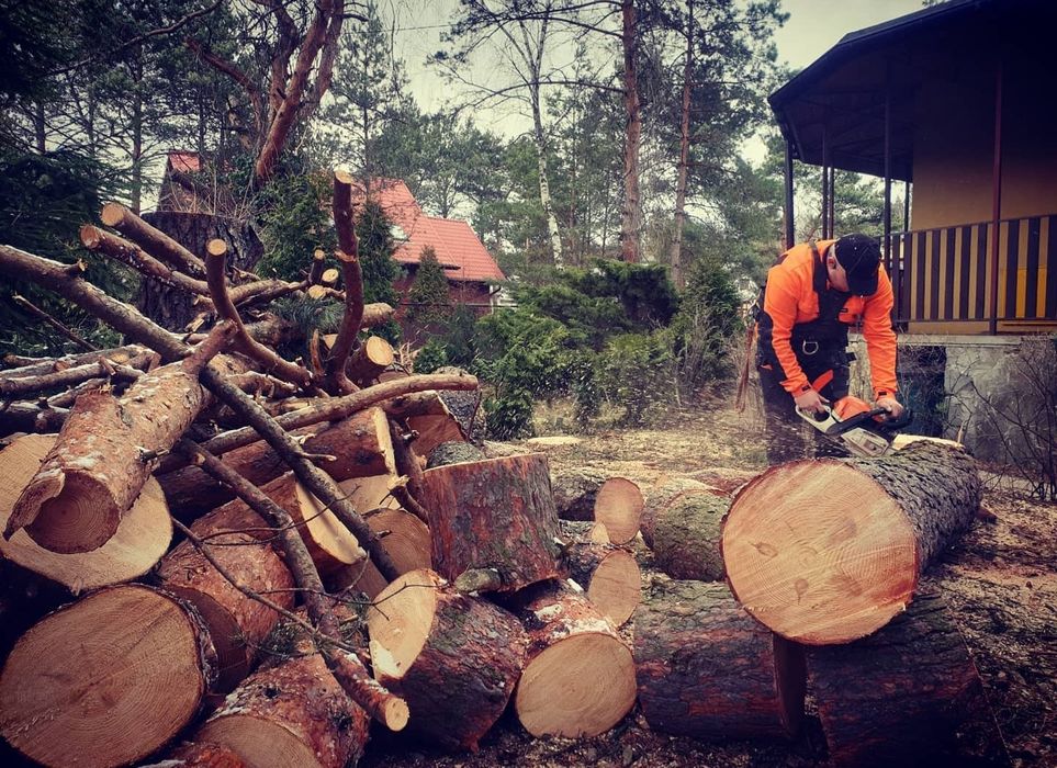 Wycinka drzew, koszenie trawników karczowanie trudno dostępnych miejsc