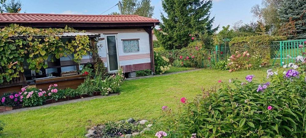 Dzialka nad Zalewem Wislanym  - Nowa Pasleka