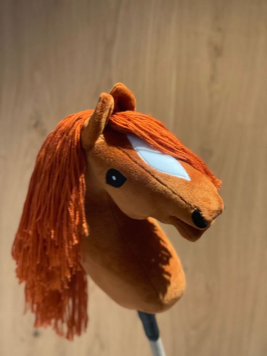 Hobby Horse A3 na kiju