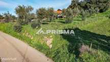 Terreno para Venda em Salgueiro do Campo
