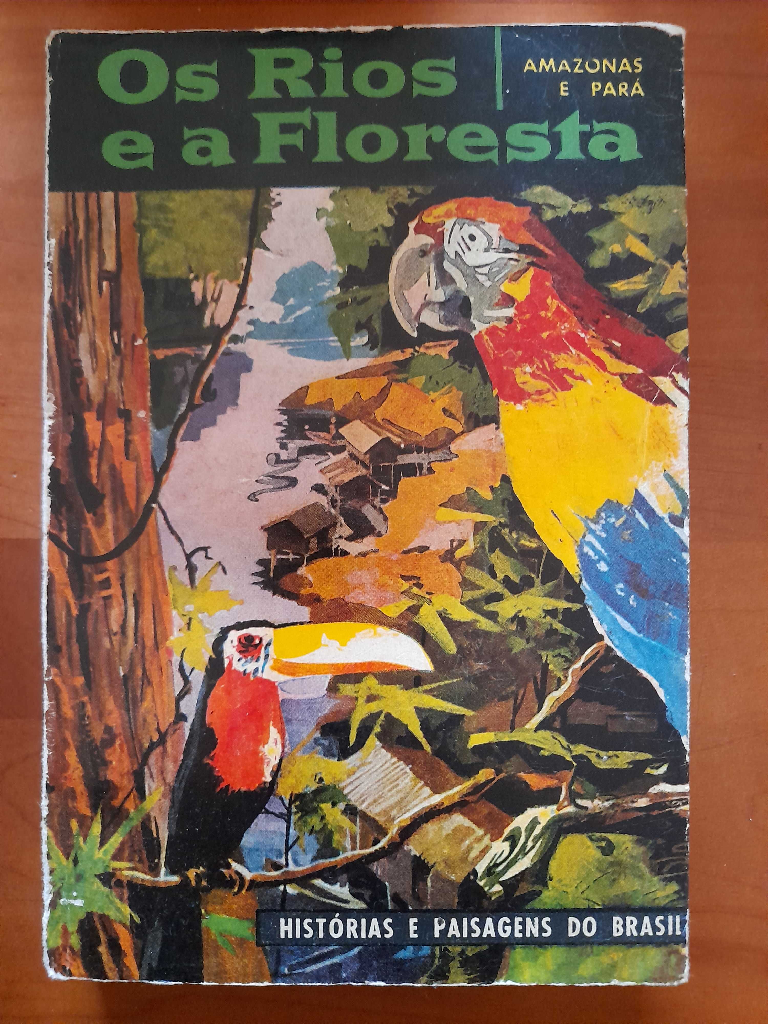 Os rios e a floresta - Histórias e paisagens do Brasil