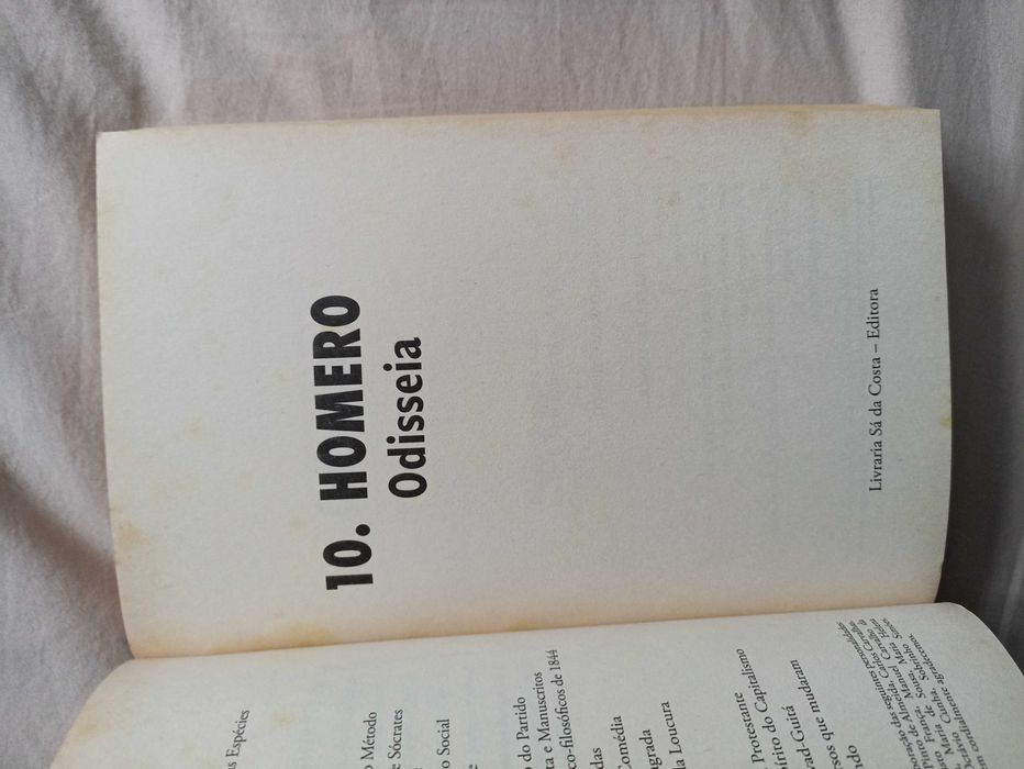 [LIVRO] Homero, Odisseia