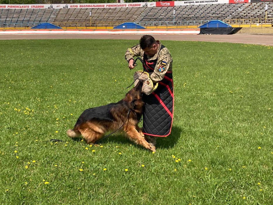 Дресирування собак. Клуб РОКСС. Заняття з інструктором-кінологом.