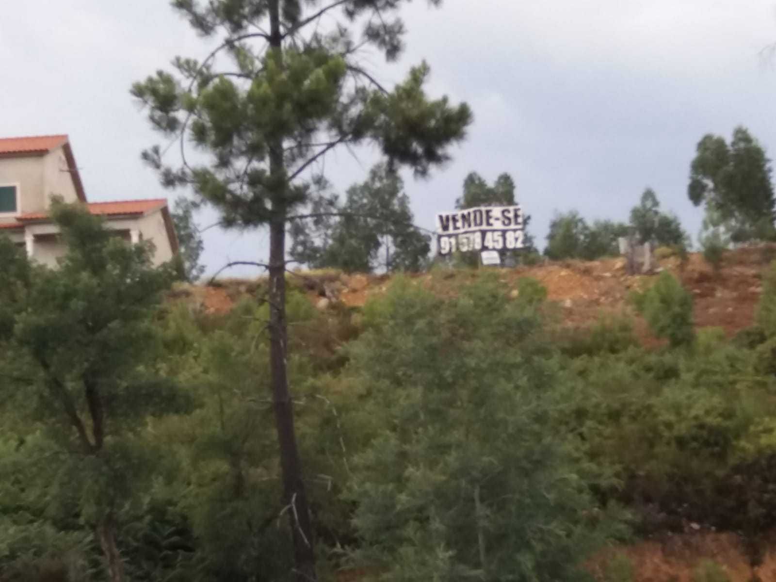 Terreno Urbano em Mação