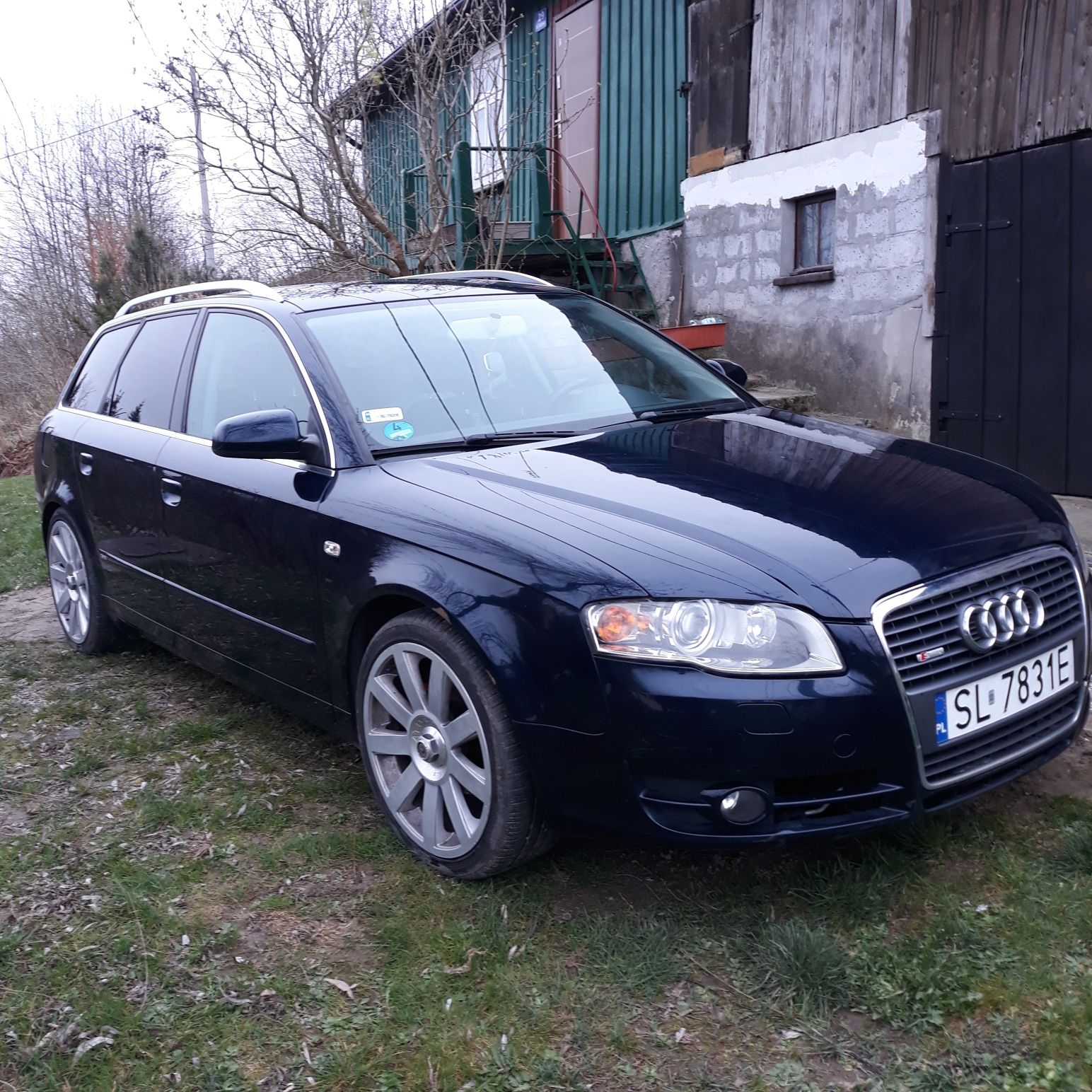 Audi a4 b7 2.0 alt lpg