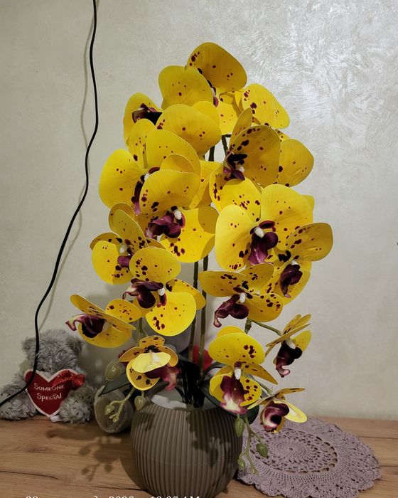 Орхідея латексна  !!!