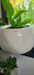 Donica Polnix Fiberglass