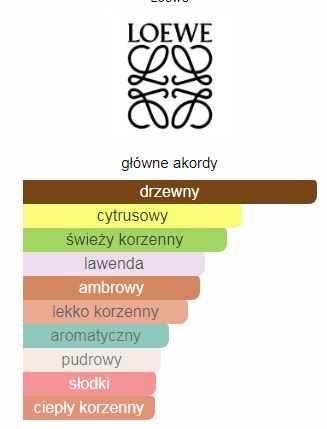 Loewe Solo Cedro woda toaletowa  100 ml