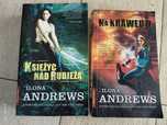 Ilona Andrews Księżyc nad rubieżą i Na krawędzi