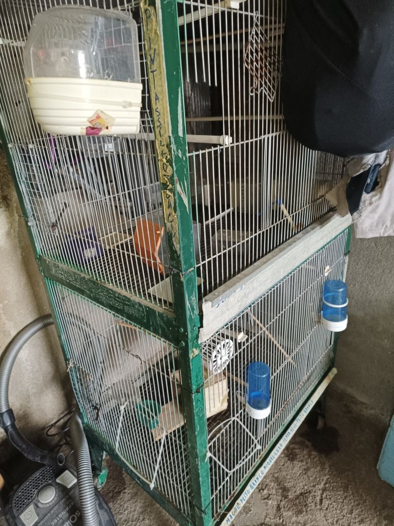 Gaiola com dois pisos