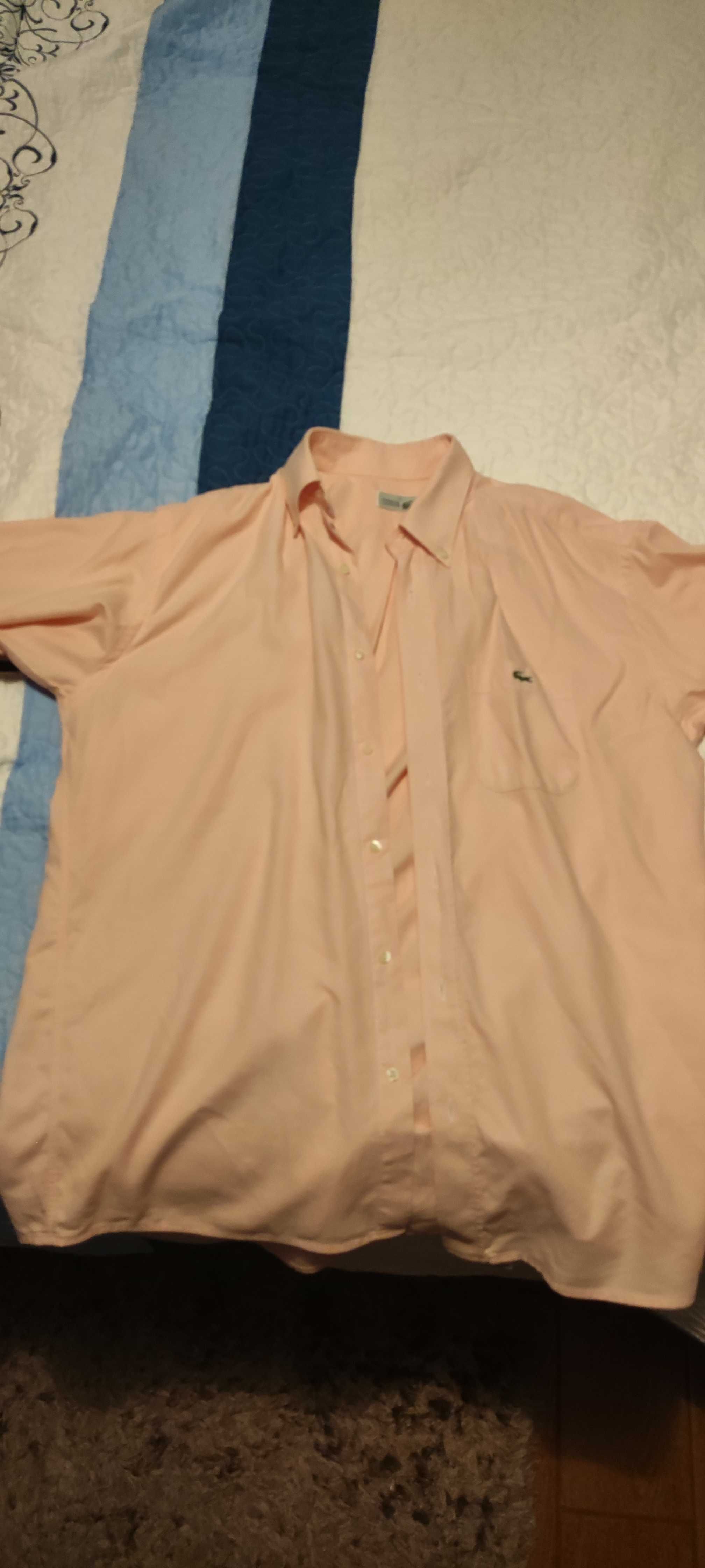 Camisa Lacoste de manga curta - Cor salmão - Tamanho 39