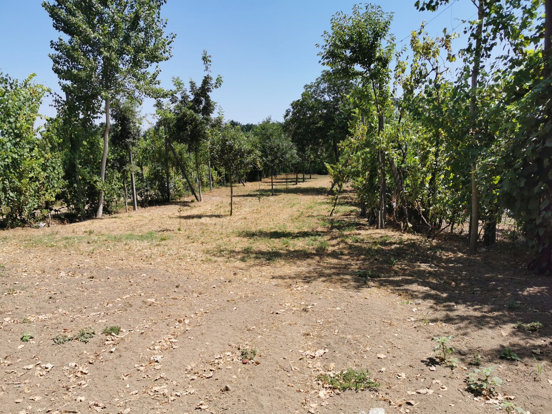 Terreno para construção