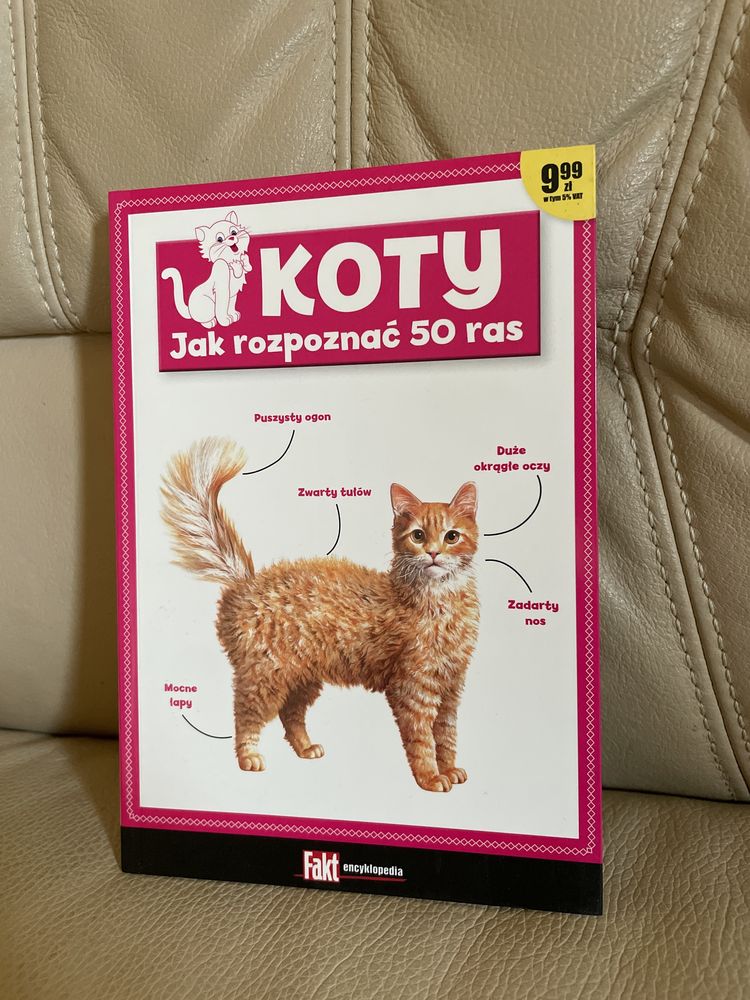Nowa książka Koty kotki jak rozpoznać 50 ras encyklopedja