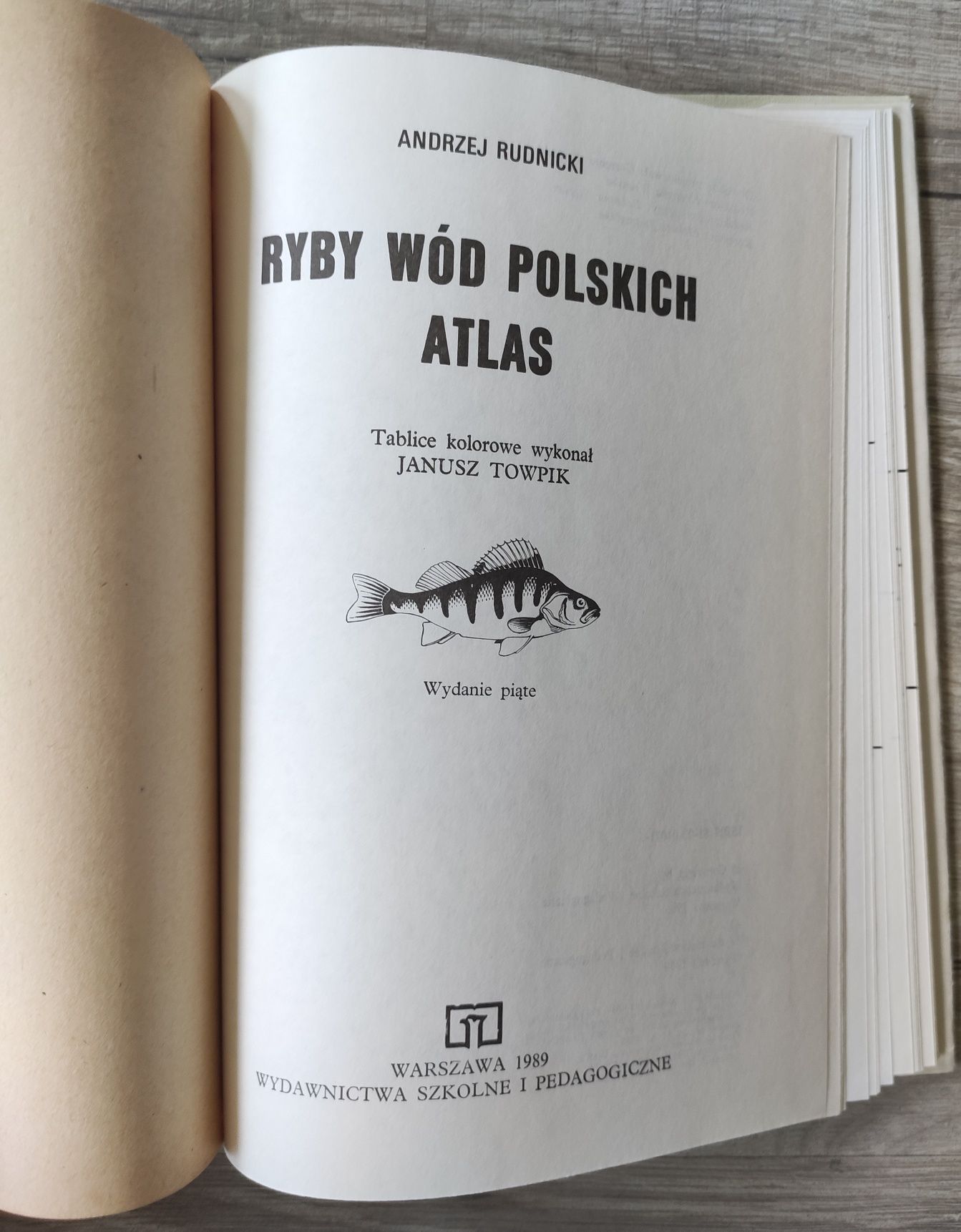 Ryby wód polskich atlas Andrzej Rudnicki