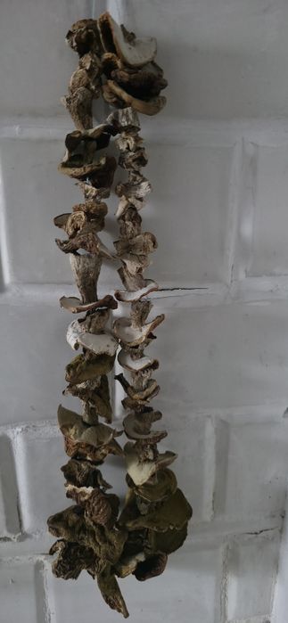 Borowik szlachetny .Prawdziwki suszone na kuchni kaflowej cena 120 gra