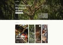 Nowoczesne strony www • E-commerce • Grafika