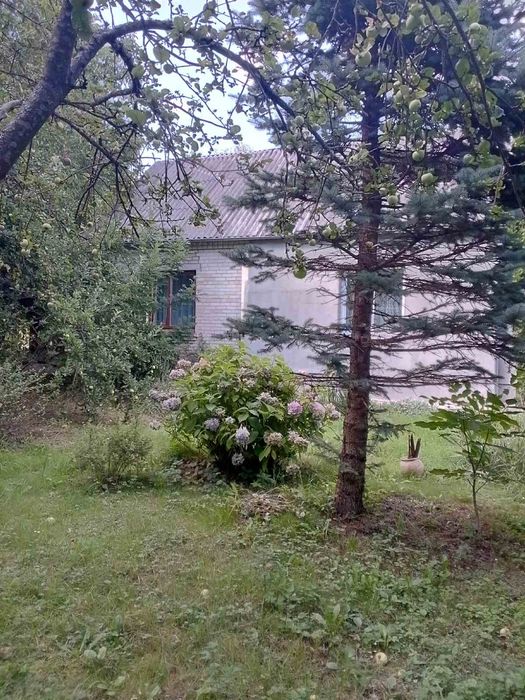 2к.Будинок, с. Гаразджа, 40м2, 6 сотих, Ремонт!