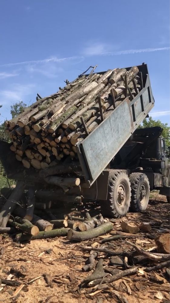 Продам колотые дрова (сухие)- 1500 грн.,оптом .