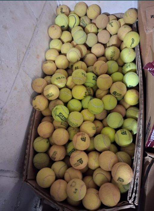 Używane piłeczki tenisowe dla pieska 80 sztuk